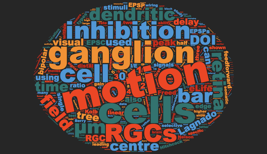 Motion Anticipation in the retina