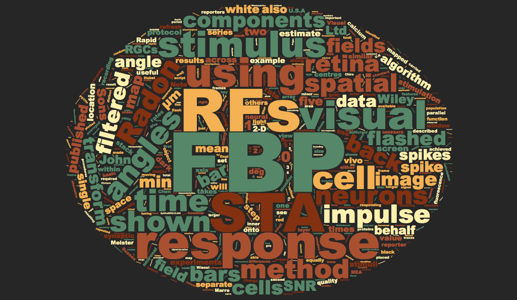 Rapid mapping of receptive fields