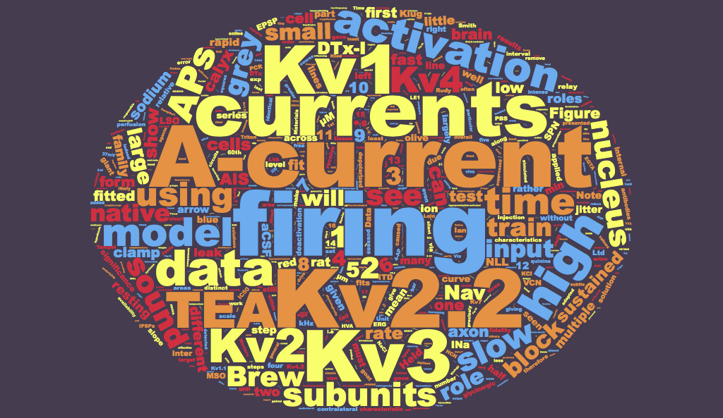 Potassium channels in the auditory&nbsp;brainstem