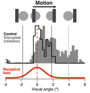 Screen Shot 2016-05-11 at 08.14.52