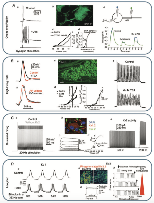 Screen Shot 2018-05-05 at 10.38.45