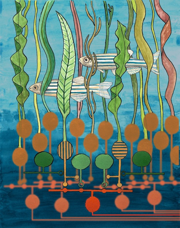 Horizontal-Fish_03_Very-small