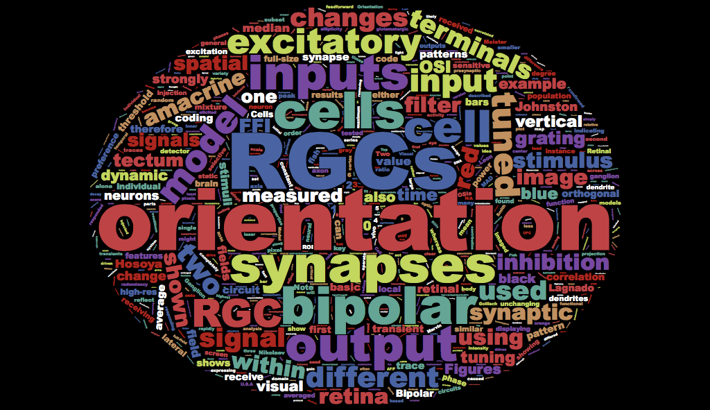 Orientation & Dynamic Predictive Coding in the Retina