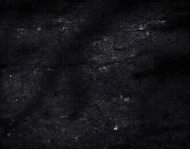 Wide field of view 2-photon imaging of inhibitory neurons responding to sensory stimulation